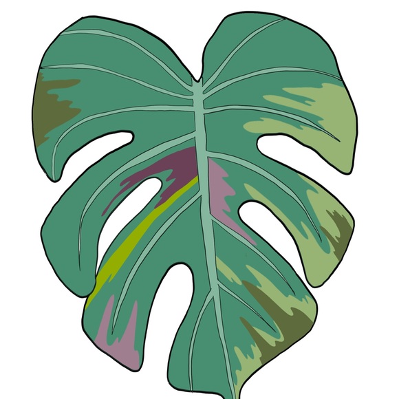 philodendron_